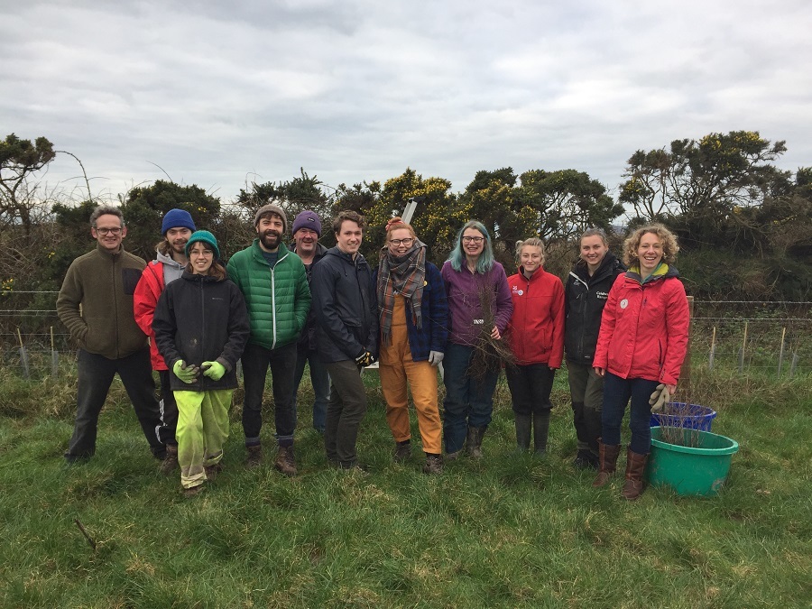 tree planting volunteer