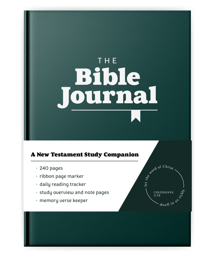 bible study book