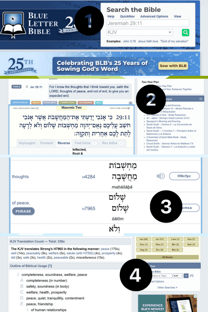 blue letter bible online