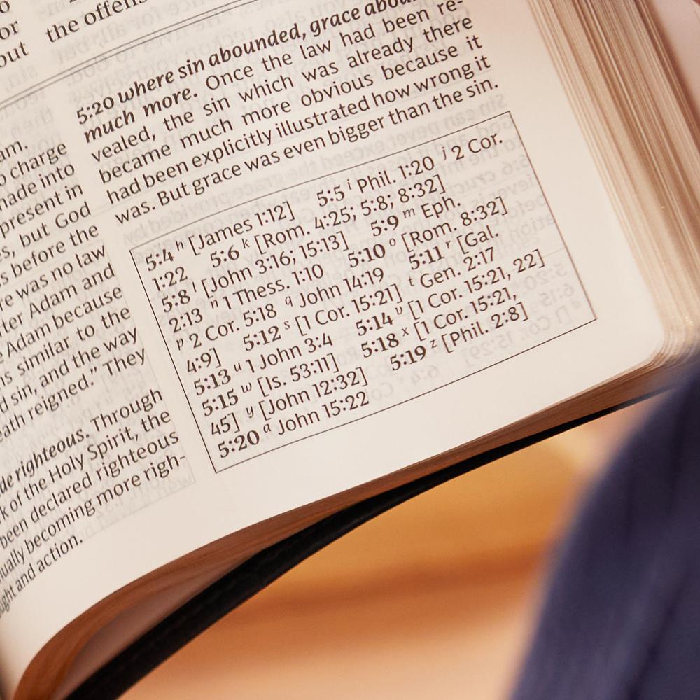 the king james study bible