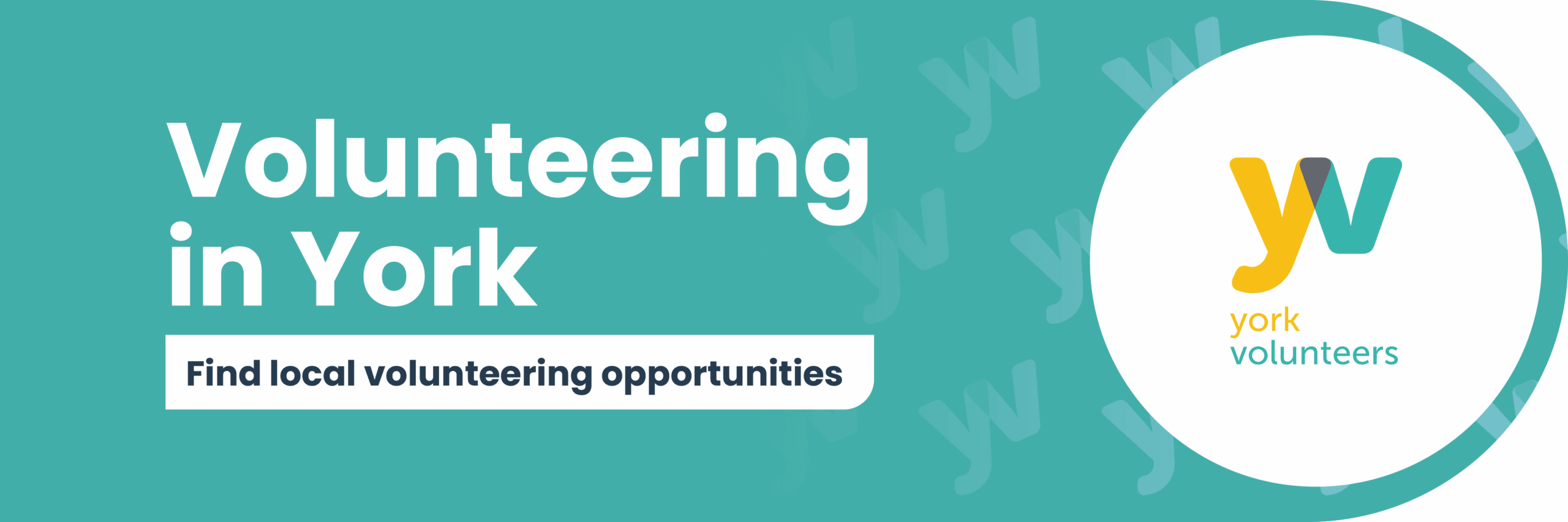 it volunteer opportunities
