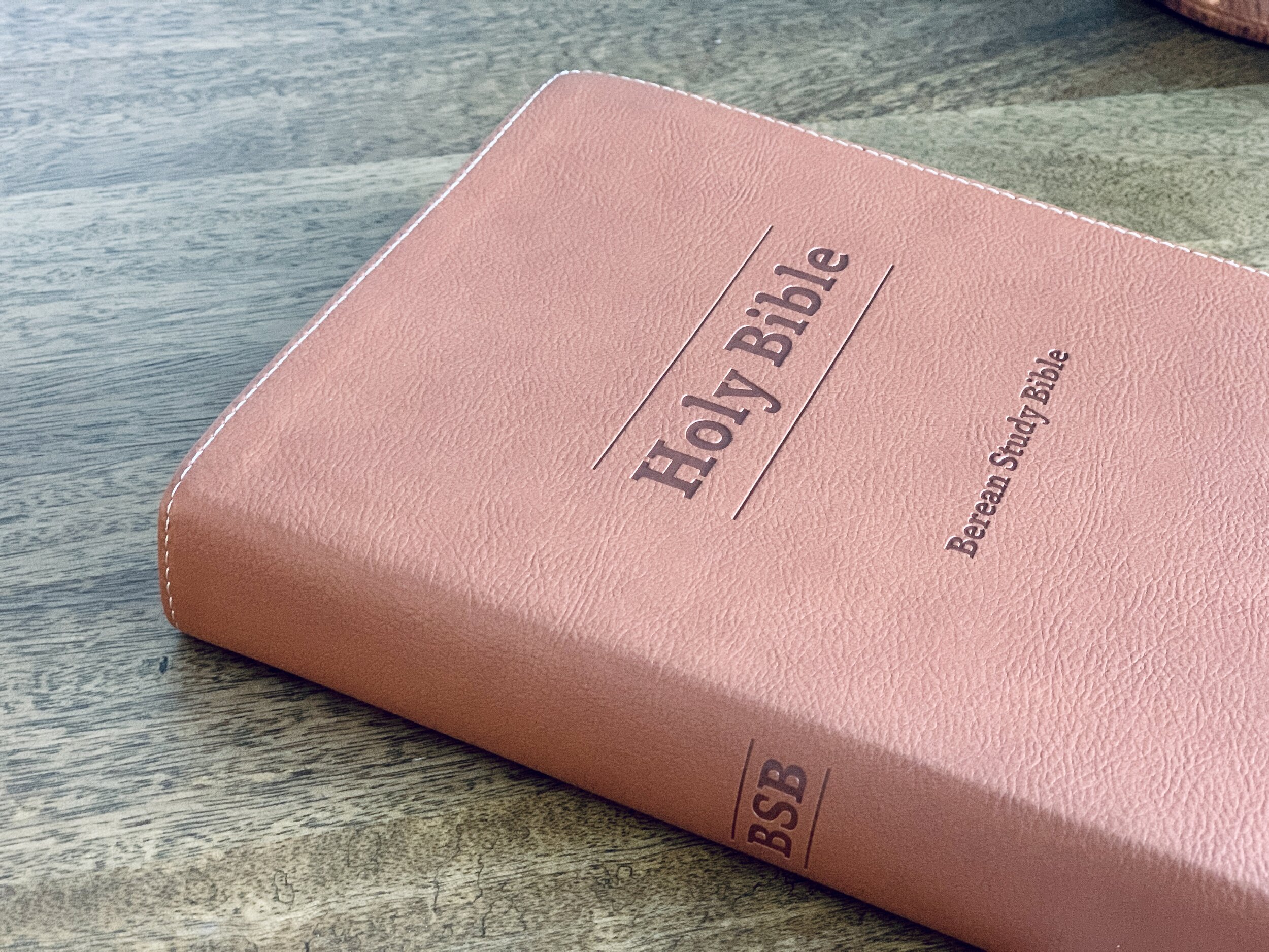 berean study bible